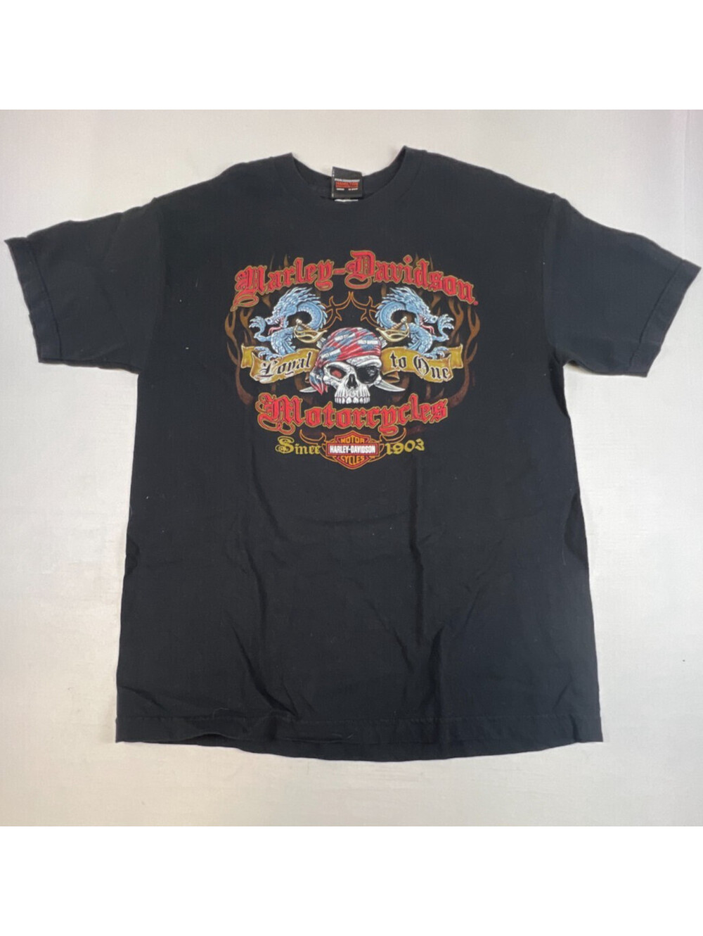 Harley-Davidson Men Small Vintage Graphic T-Shirt Black Thunder Bay
